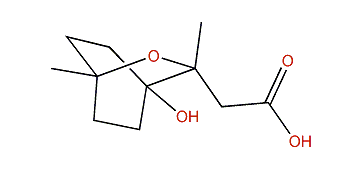 4-Hydroxy-9-cineolic acid